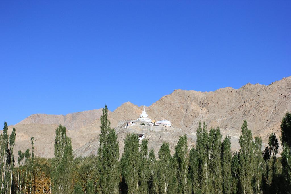 Hotel Nalanda Ladakh Leh Exterior photo